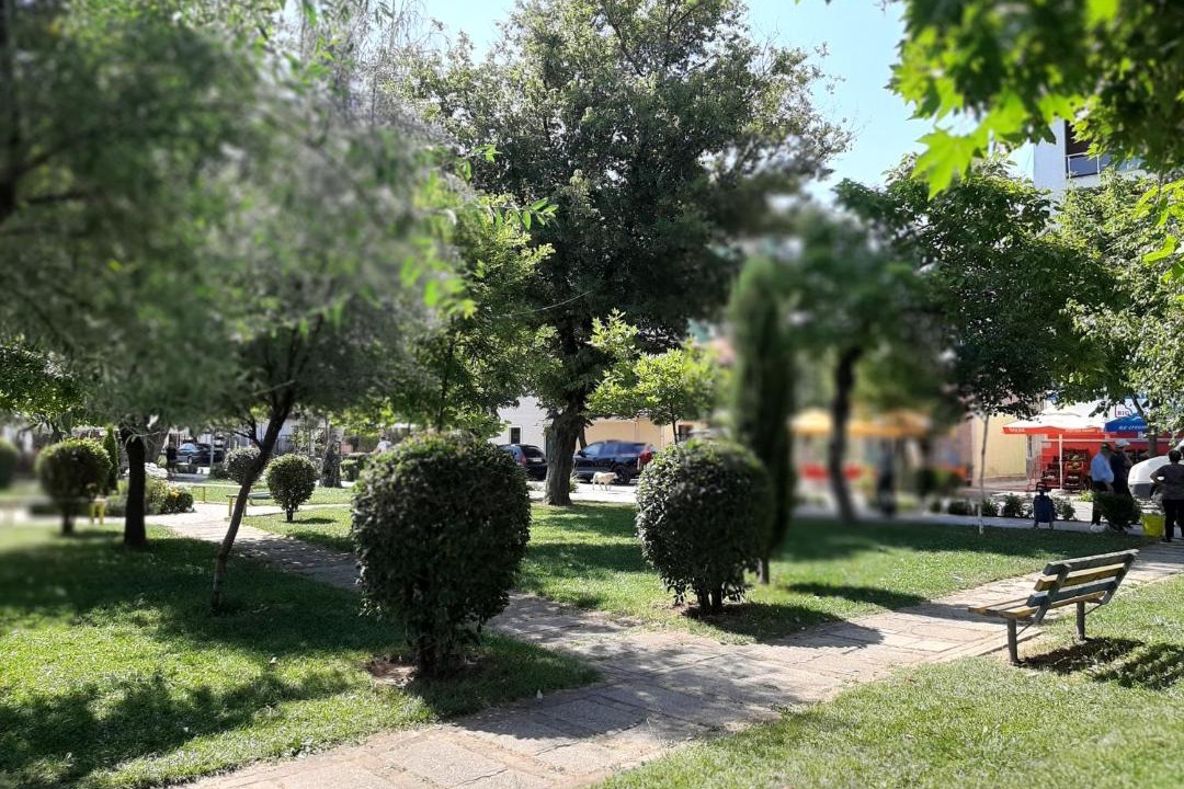 Photo of Others in Pogradec