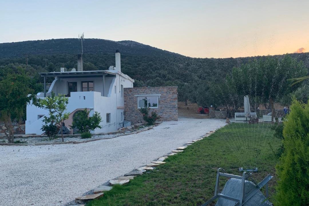 Photo of Others in Naxos