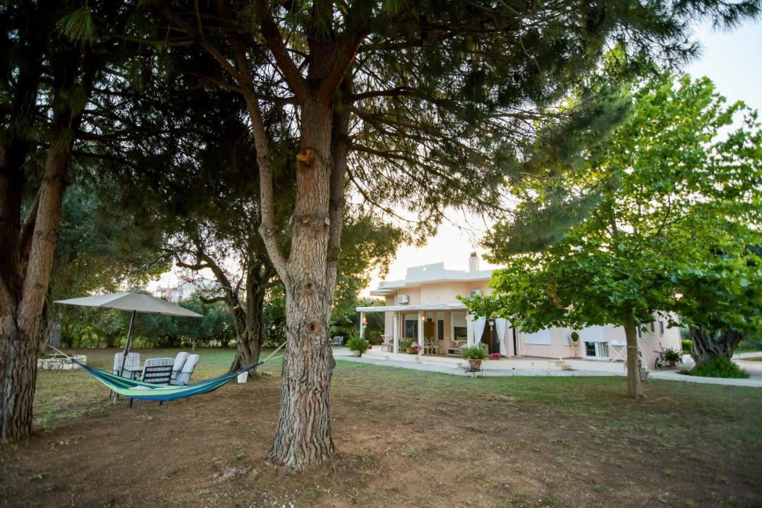 Photo of Others in Preveza