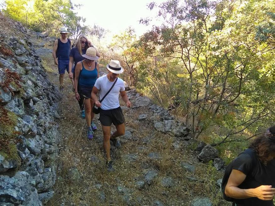 Photo of Others in Avgonima