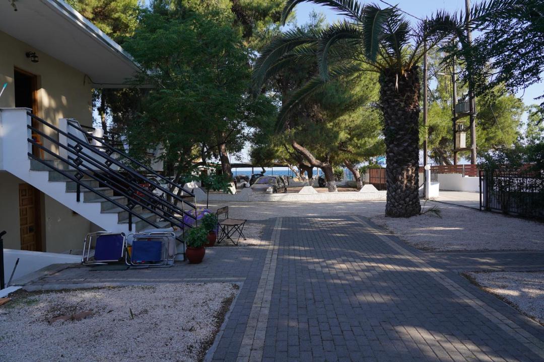 Photo of Others in Nafplio