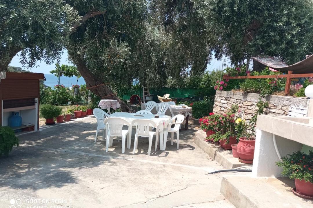 Photo of Others in Aliki