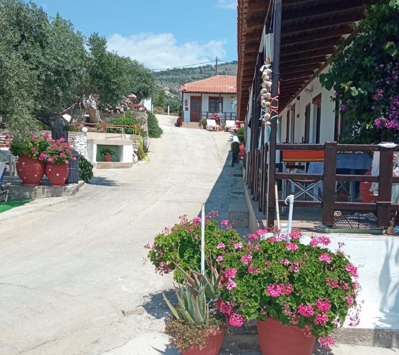 Photo of Others in Aliki