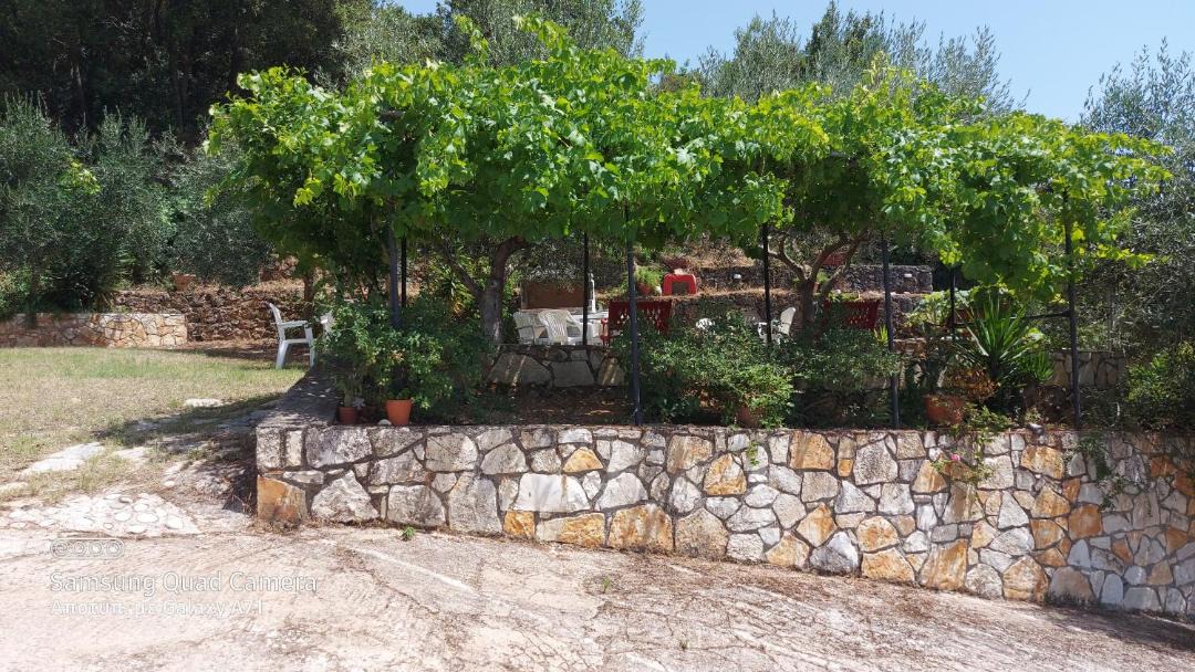 Photo of Others in Sivota