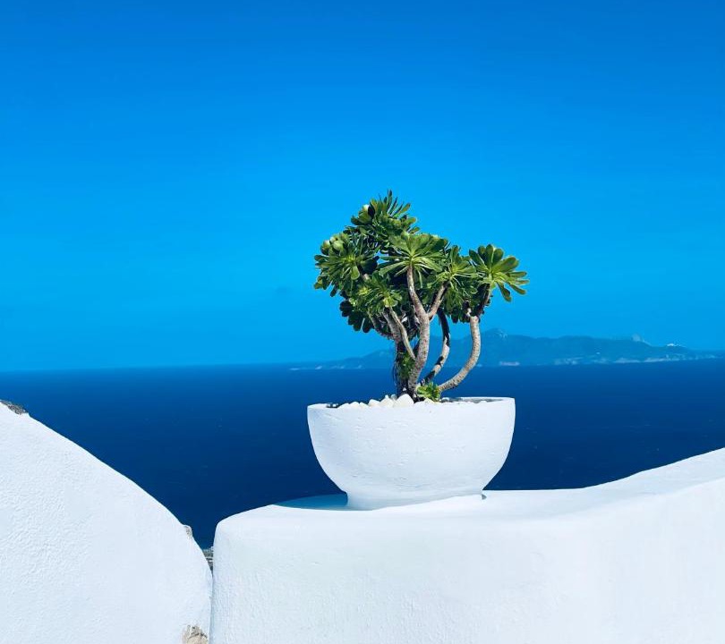 Photo of Others in Pyrgos