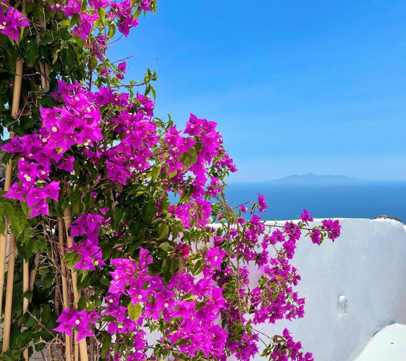 Photo of Others in Pyrgos