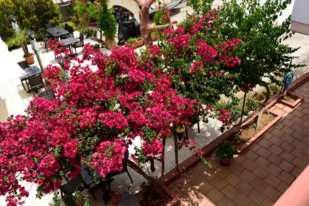 Photo of Patio Balcony in Agii Apostoli