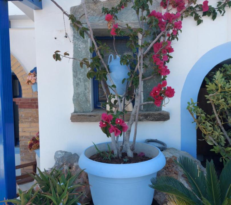 Photo of Others in Agia Pelagia