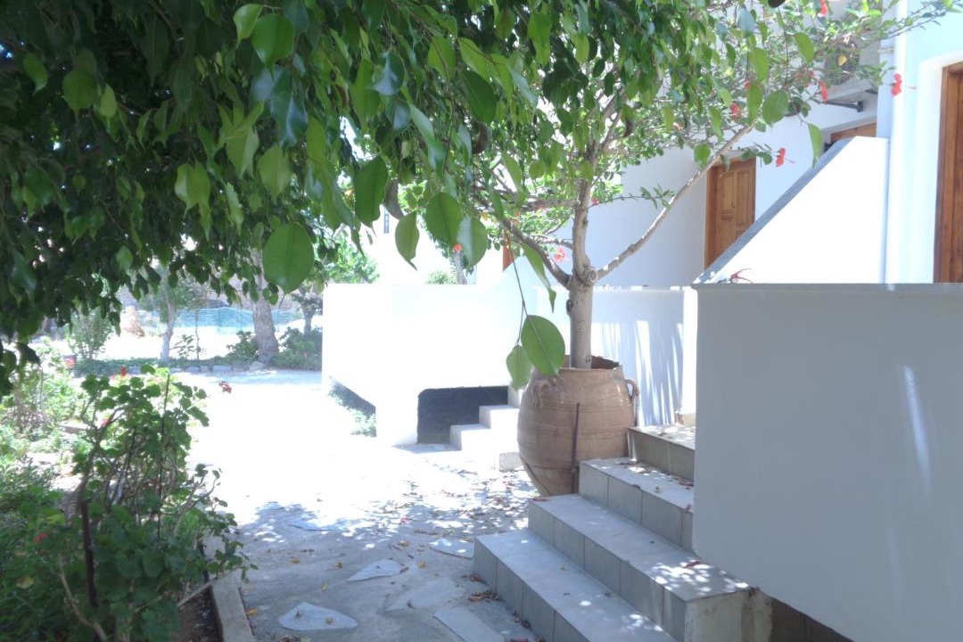 Photo of Others in Palaiochora