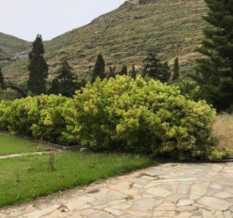 Photo of Others in Kithnos