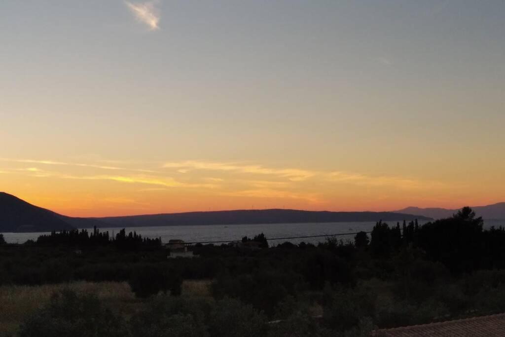 Photo of Others in Chalcis