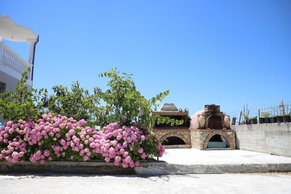 Photo of Others in Mbrostar-Urë