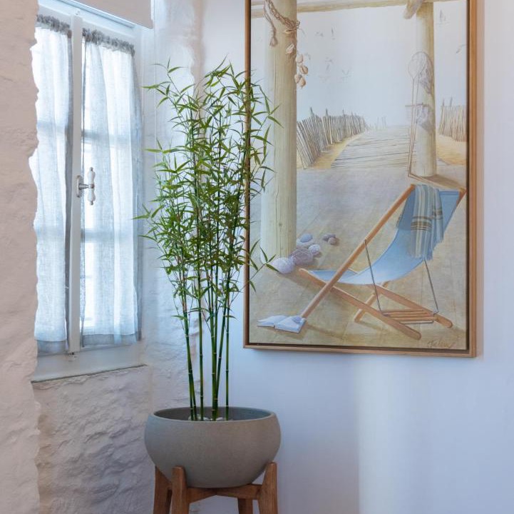 Photo of Livingroom in Apollonia