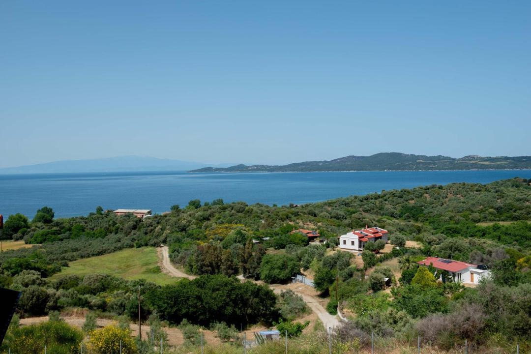 Photo of Others in Aristotelis