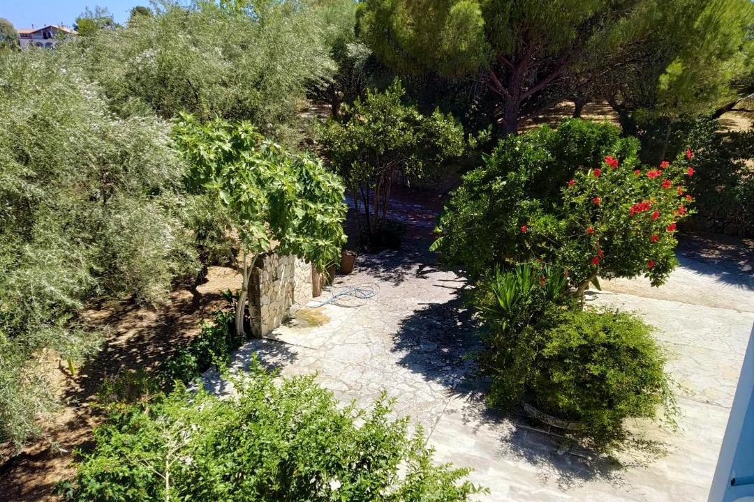 Photo of Others in Laganas