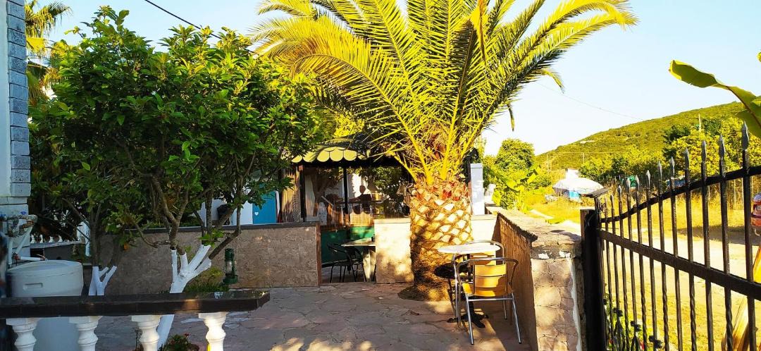 Photo of Others in Ammoudia