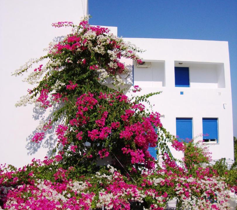 Photo of Others in Agios Emilianos