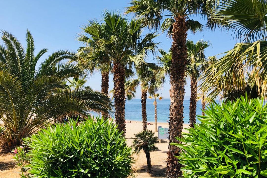Photo of Others in Palaio Faliro