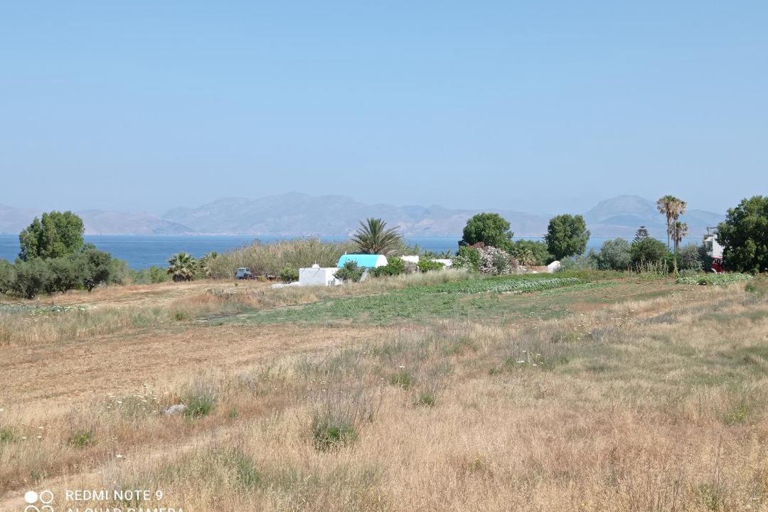 Photo of Others in Mastichari