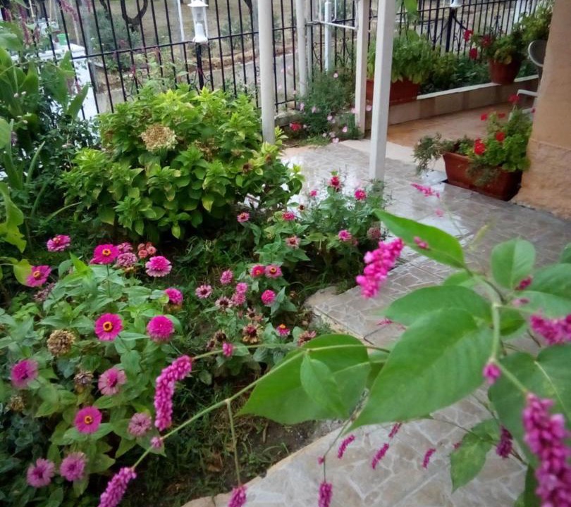 Photo of Others in Dafnata