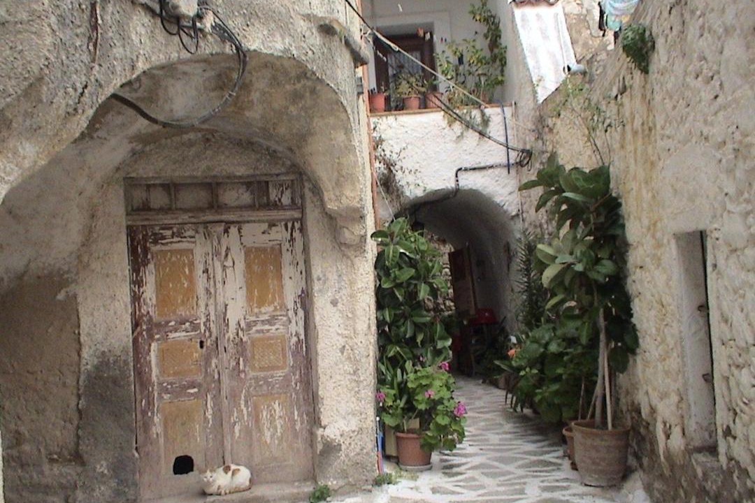 Photo of Others in Armolia