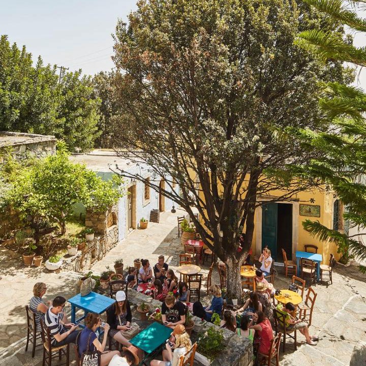 Photo of Others in Tilisos