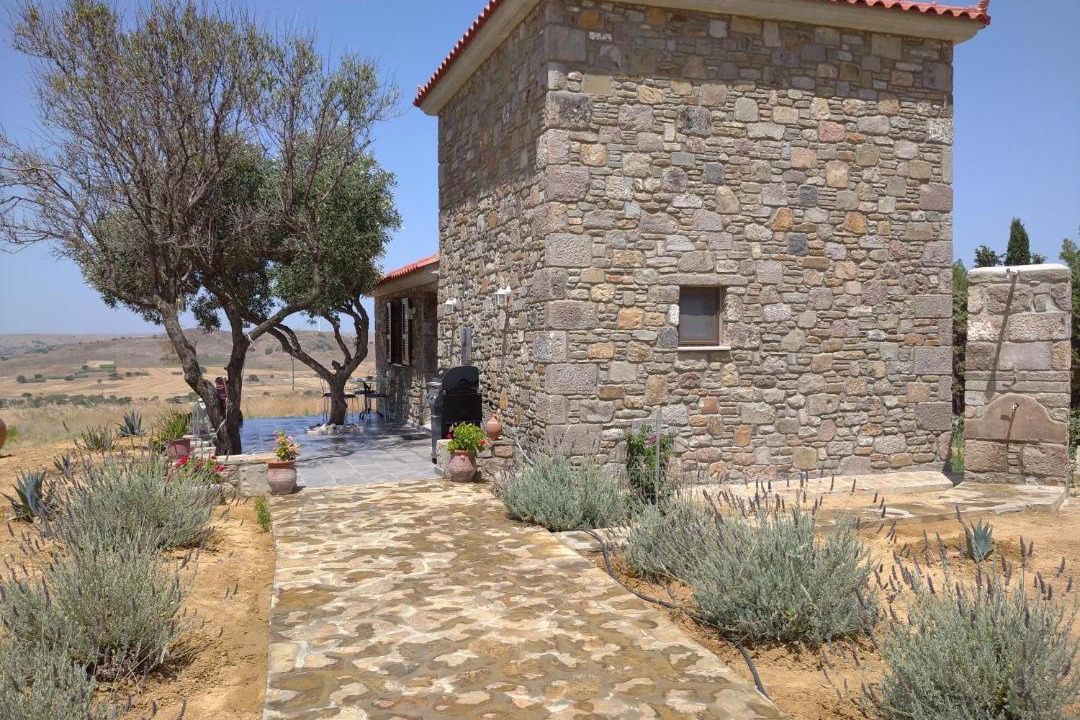 Photo of Others in Lemnos