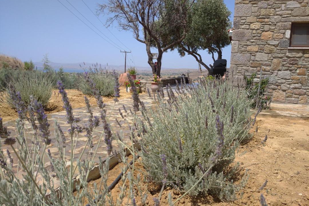 Photo of Others in Lemnos