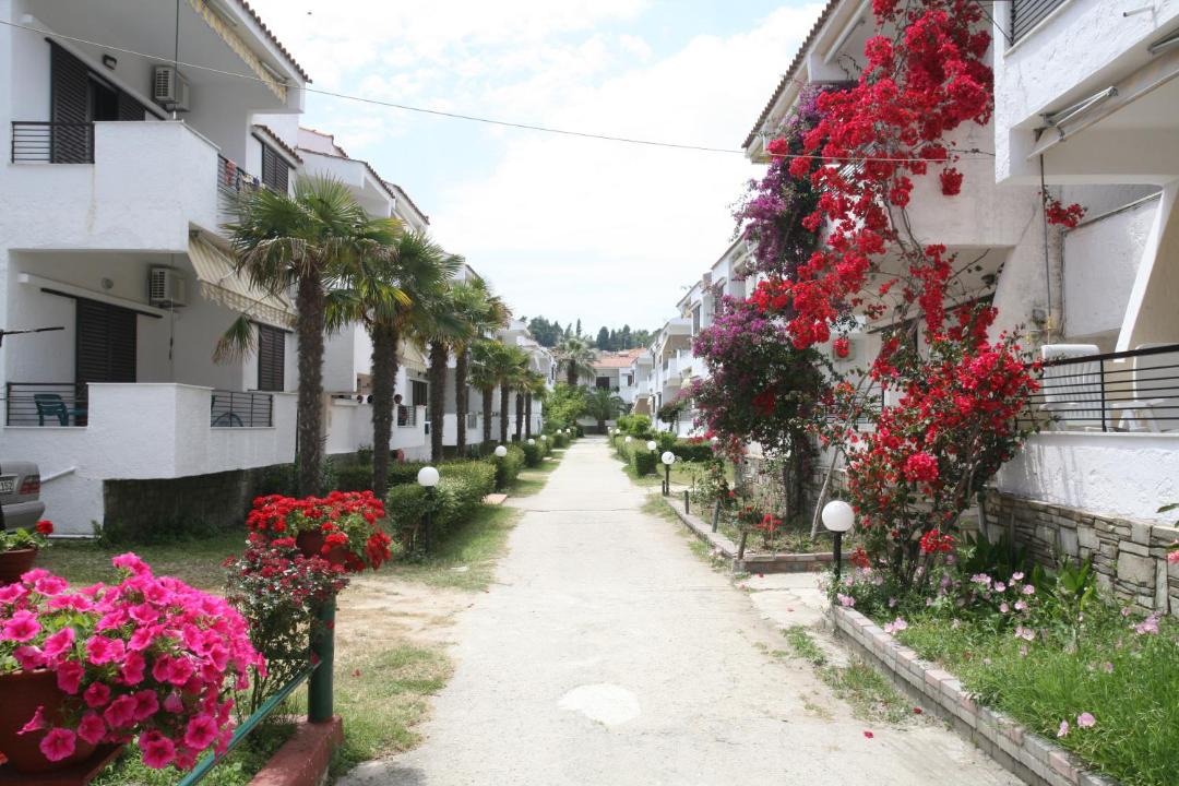 Photo of Others in Pefkochori