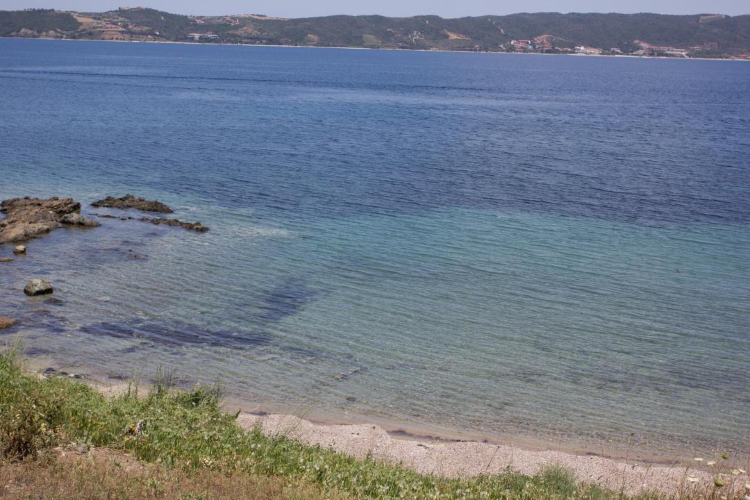 Photo of Others in Aristotelis
