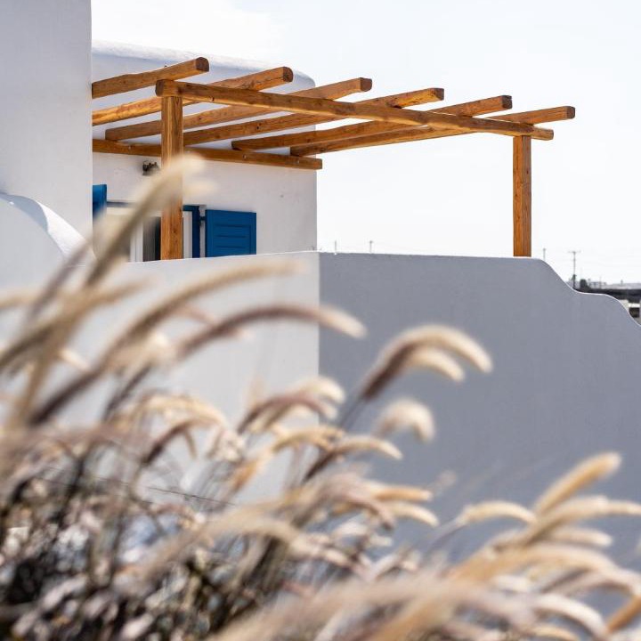 Photo of Others in Mykonos Town