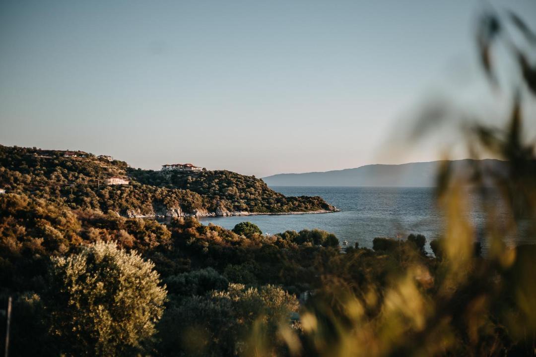 Photo of Others in Aristotelis