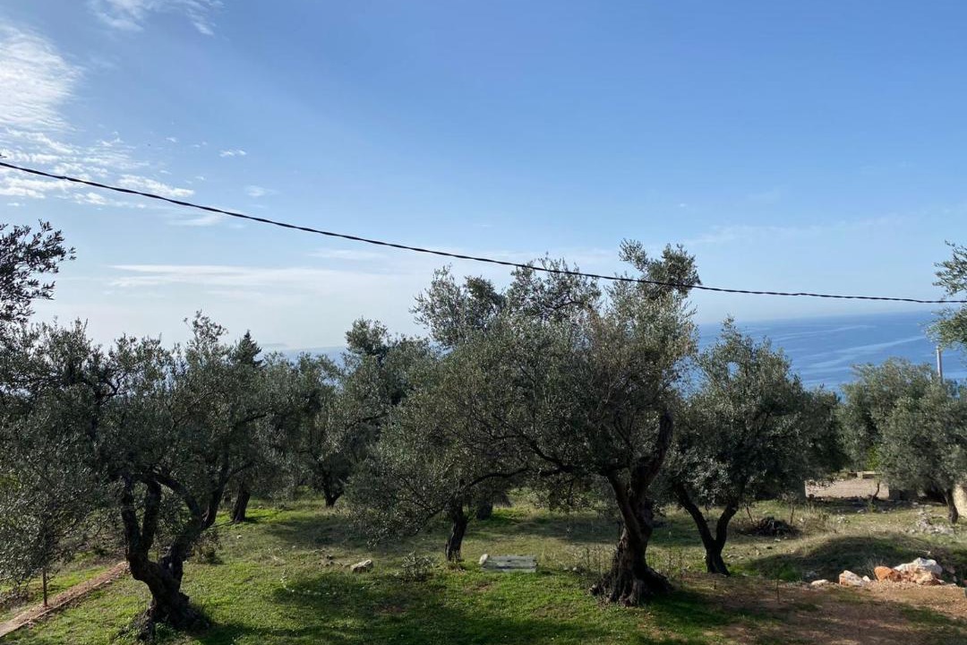 Photo of Others in Dhermi