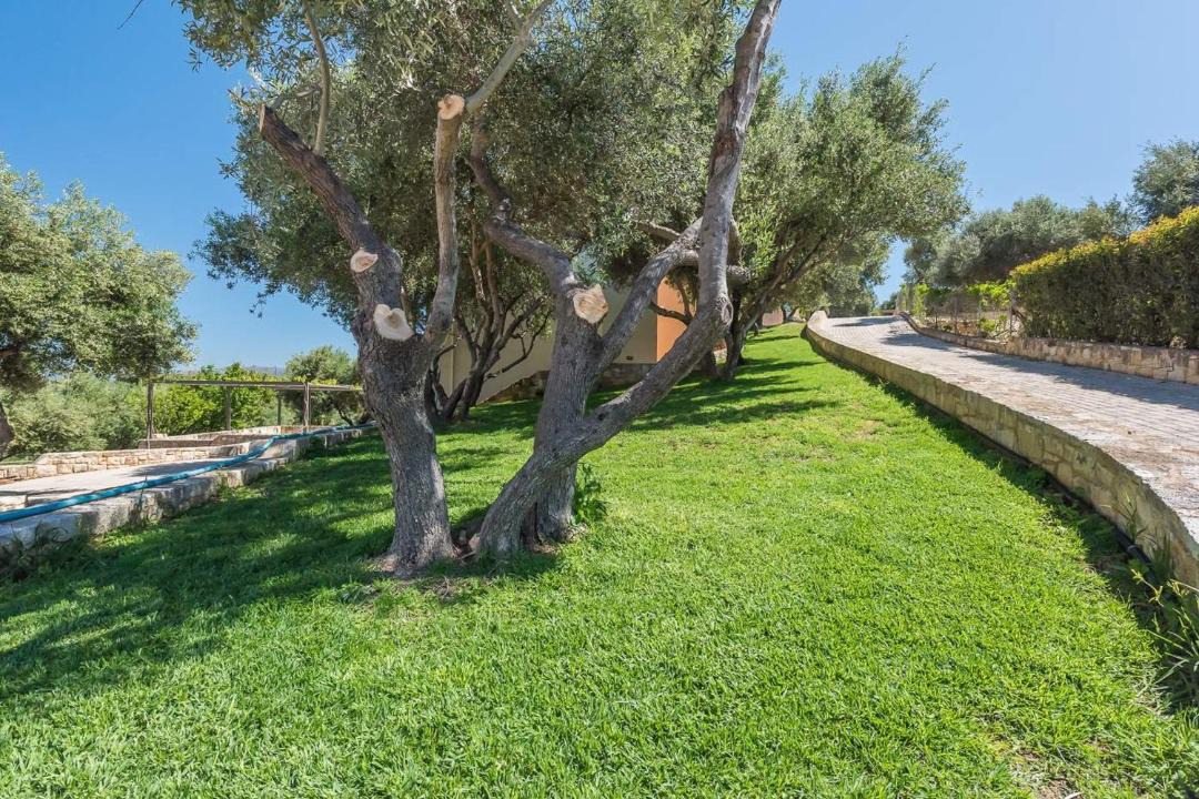 Photo of Others in Agia