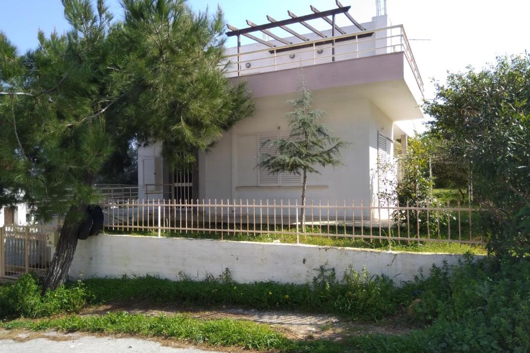 Photo of Others in Kounoupidiana