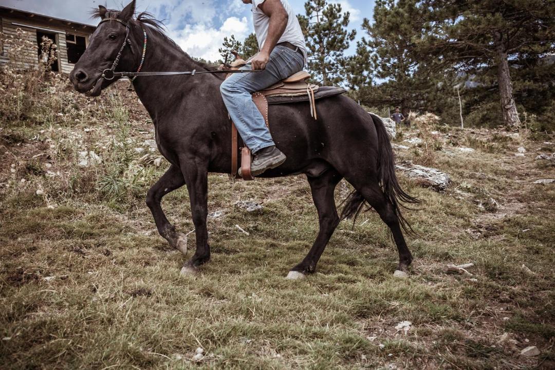 Photo of Others in Metsovo