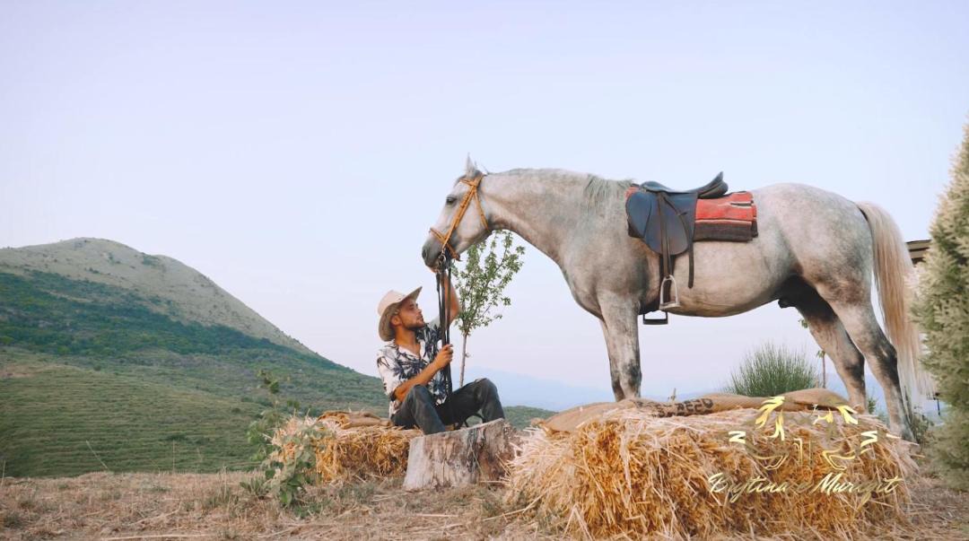 Photo of Others in Shkoder County