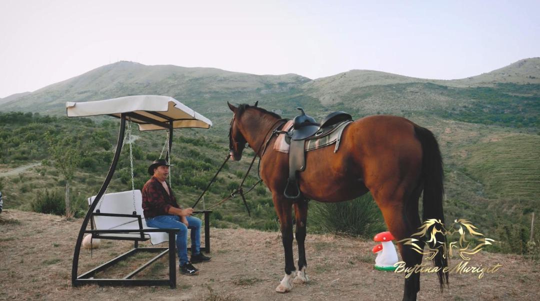 Photo of Others in Shkoder County