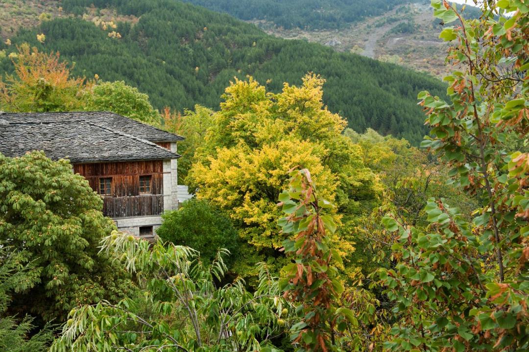 Photo of Others in Metsovo