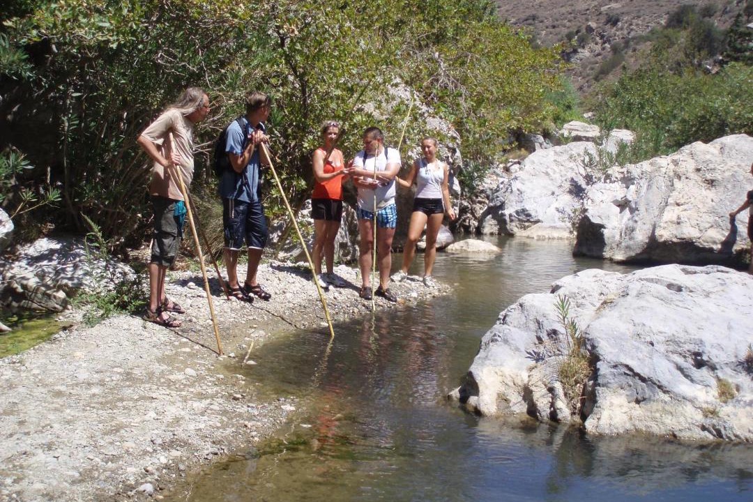 Photo of Others in Yianniou