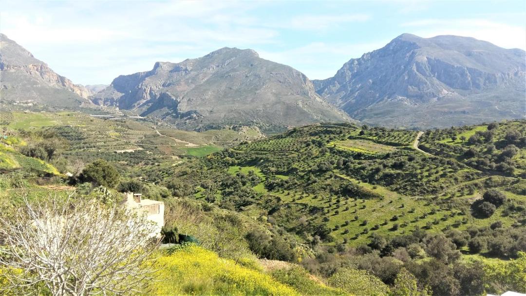 Photo of Others in Yianniou