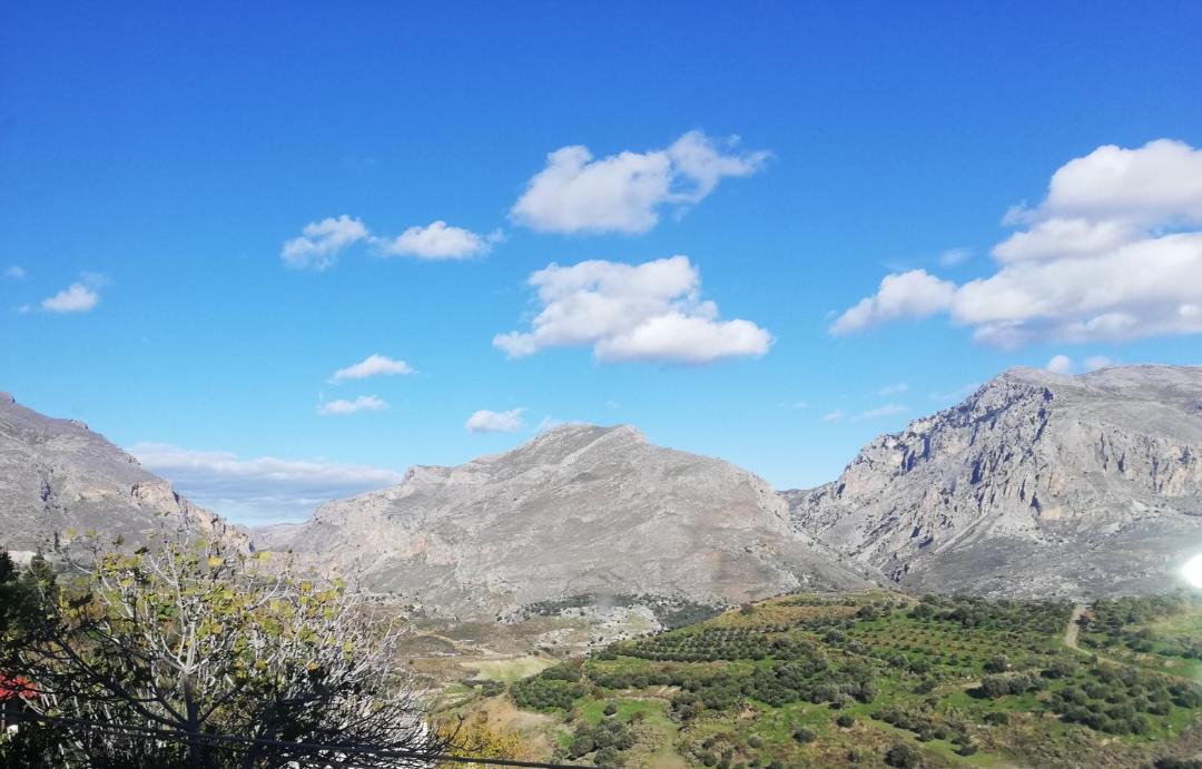 Photo of Others in Yianniou