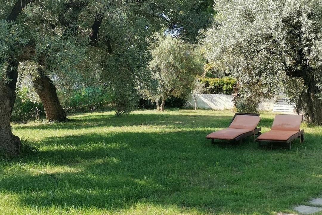 Photo of Others in Metamorfosi
