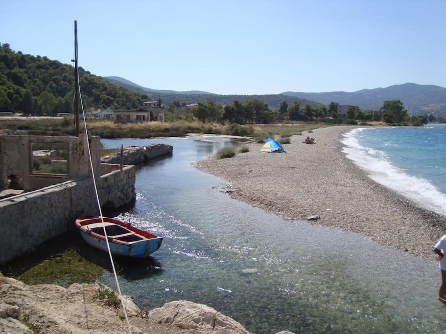 Photo of Others in Katakali