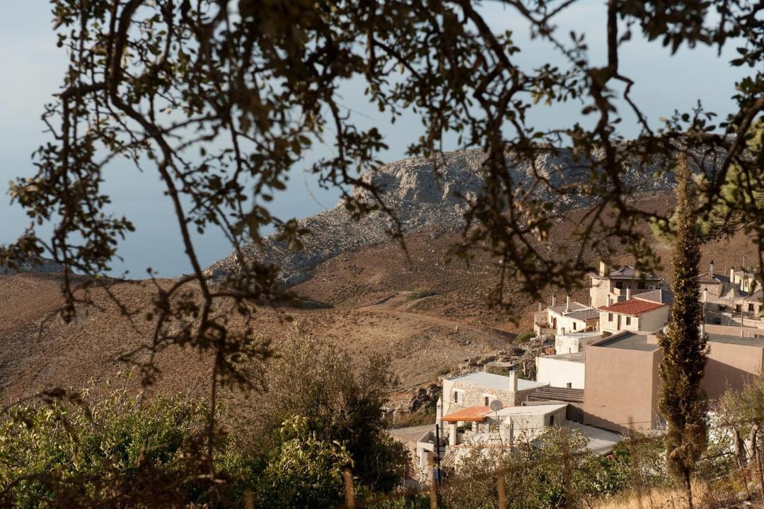 Photo of Others in Kapetaniana