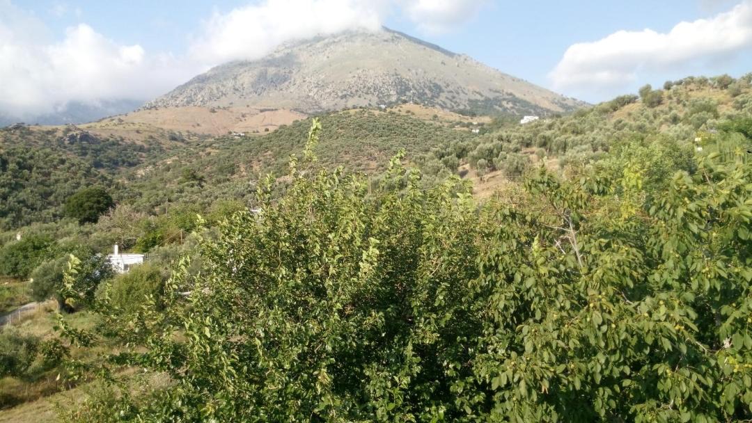 Photo of Others in Samothrace
