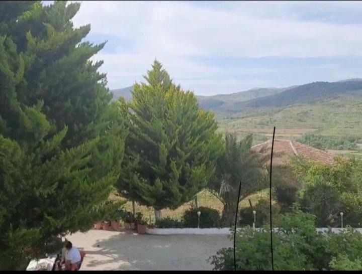 Photo of Others in Mbrostar-Urë