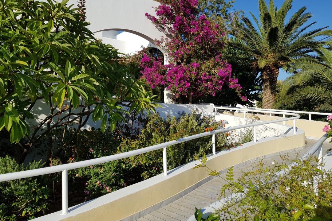 Photo of Others in Platanes