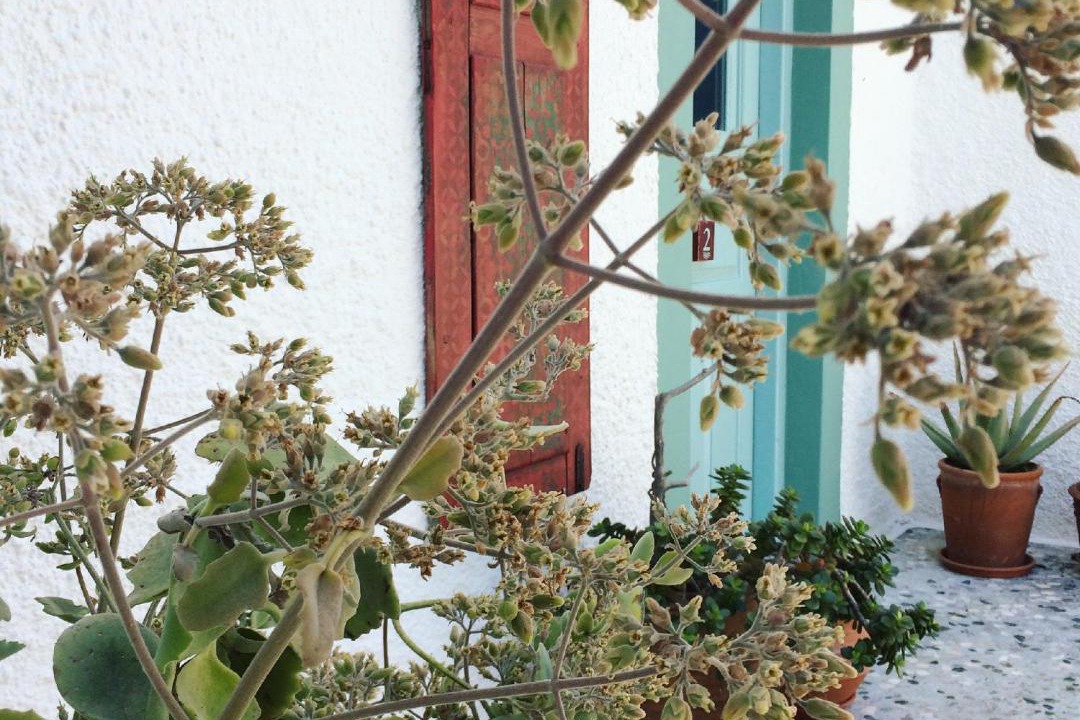 Photo of Others in Panteli