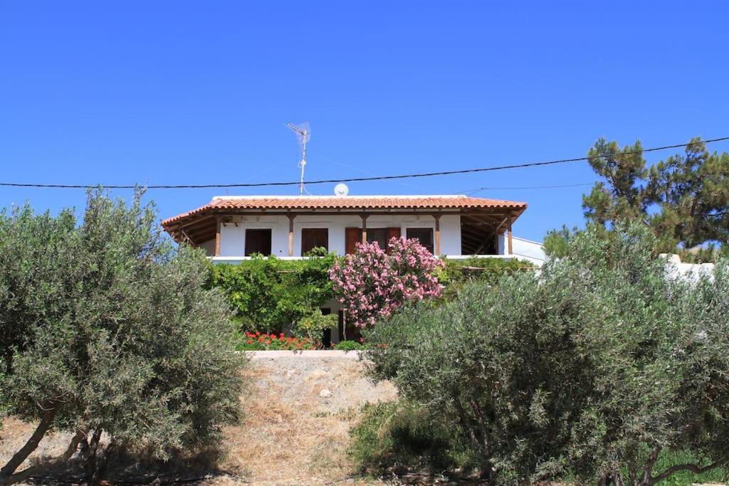 Photo of Others in Makry Gialos